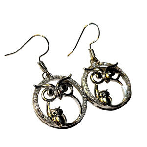 Owl  Drop Dangle Earrings
